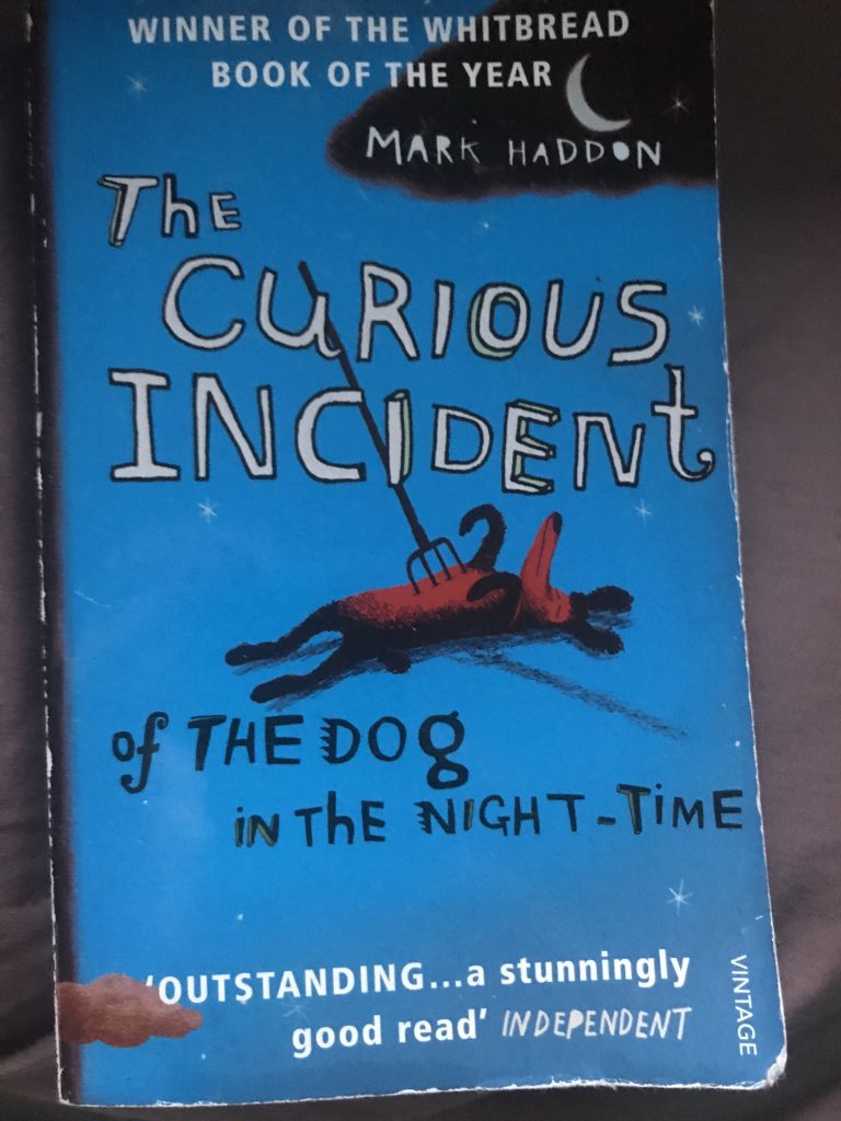 The curious incident of the dog in the night time, bok